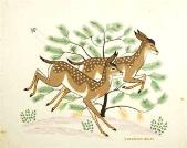 Painting by Harrison Begay